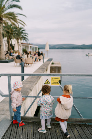 Little girls stand on the pier near the fence and look at the sea. Back viewの写真素材