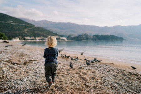 Little girl walks along the beach towards the walking pigeons. Back viewの写真素材