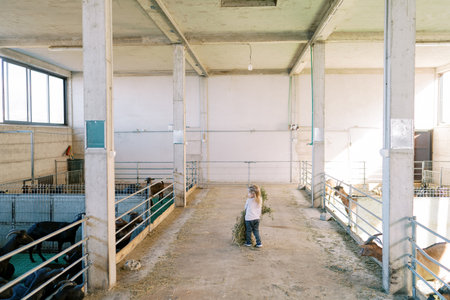 Little girl carries a large sheaf of hay to a goat pen on a farm. Back viewの写真素材