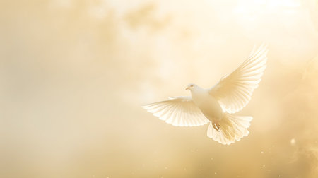 Graceful White Dove in Flight Illuminated by Sunlightの素材