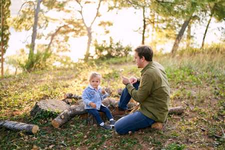 Dad and little girl sit on logs with dandelions in their handsの写真素材