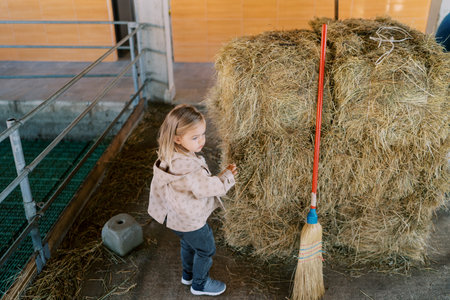 Little girl stands near a haystack with a broom on a farm and looks awayの写真素材