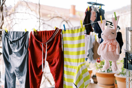 Pink toy rabbit is drying on a rope, along with clothes on the balconyの写真素材