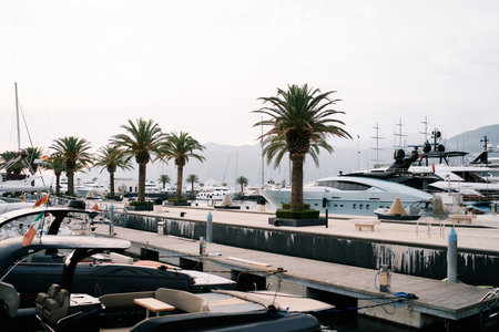 Expensive marina with green palm trees, fountains and piers with moored yachts. High quality photoの写真素材