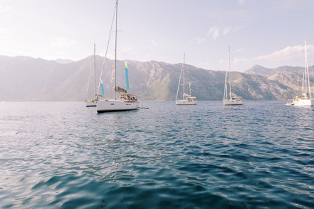 Sailing regatta at sea with a mountain range in the backgroundの写真素材