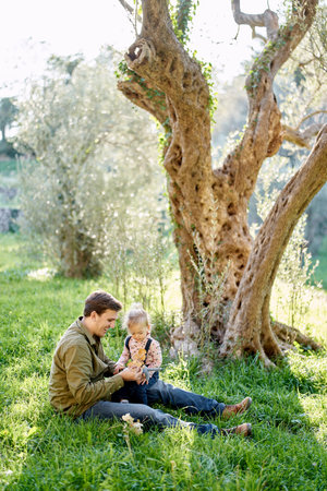 Dad is sitting on a green lawn with a little girl on his kneesの写真素材