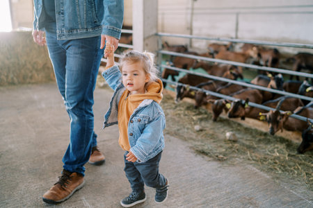 Little girl pulls her dad across the farm with goat pens in the background. Cropped