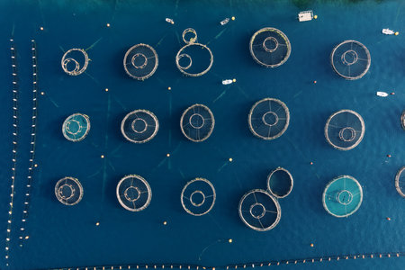 Round pools of a fish farm in the sea, fenced with buoys. Top viewの写真素材