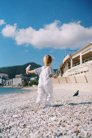 Little girl with a pink toy walks along a pebble beach towards a walking pigeon. Back viewの写真素材