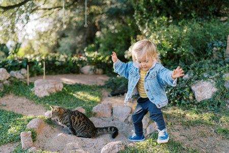 Little girl stands with her hands raised up near a cat sitting on the grassの写真素材