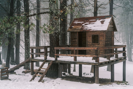 Wooden gazebo with stairs on stilts in a snowy forest