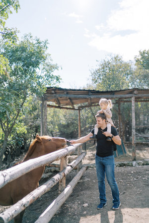 Dad with a little girl on his shoulders feeds a horse in a paddock in the parkの写真素材