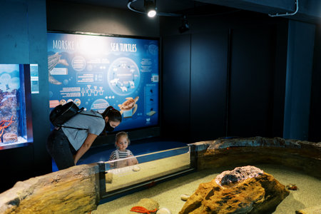 Mom and little girl look at an aquarium with sea turtlesの写真素材
