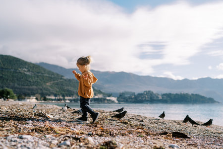 Little girl walks along a pebble beach among pigeons. Side viewの写真素材