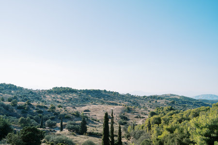 Green olive groves on the slopes of the mountains against the blue sky. Greeceの写真素材