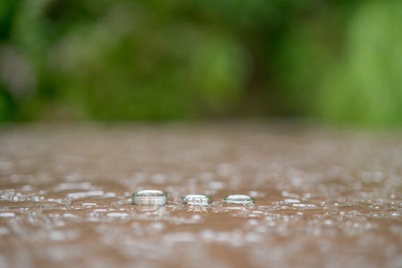 Wedding rings in raindrops lie on tiles in a green gardenの写真素材