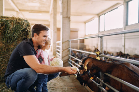 Little girl stands next to her dad feeding goats cabbage through a corral fence
