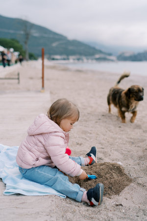 Little girl is digging a hole in the sand with a toy shovel while sitting on a blanket on the seashore. Side viewの写真素材