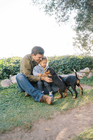 Big puppies climb on the knees to a smiling dad with a little girl sitting on the grassの写真素材