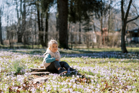 Little girl sits on a stump in a clearingの写真素材