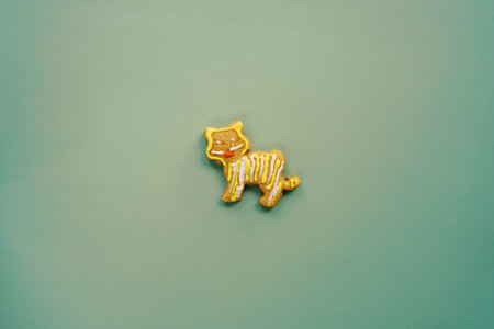 Colorful glazed cat cookie on a green backgroundの写真素材