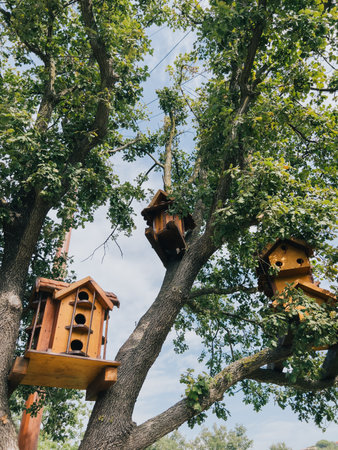 Beautiful wooden birdhouses on tree branchesの写真素材