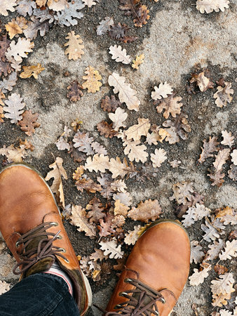 Men feet in boots stand on the pavement among fallen oak leaves. Top view. Cropped