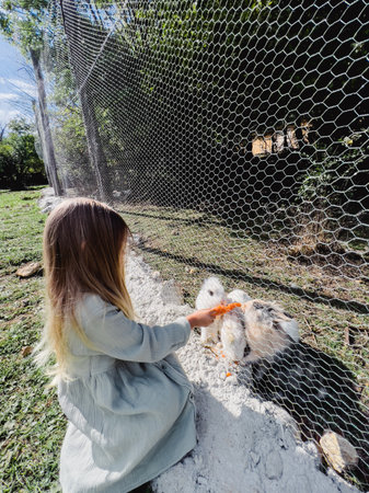 Little girl pushing a carrot to white animals through a net on a farmの写真素材