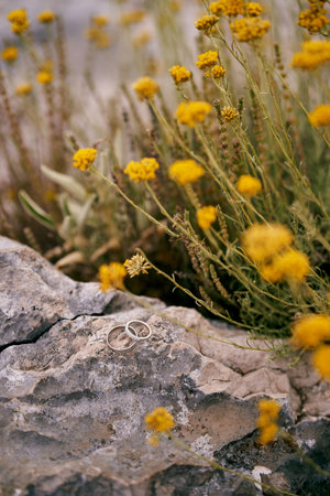 Wedding rings lie on a stone near blooming wildflowers