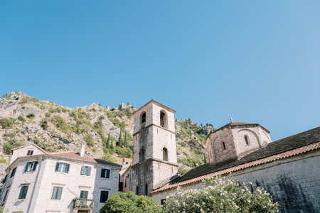 Green garden in the courtyard of the Cathedral of St. Tryphon. Kotor, Montenegro
