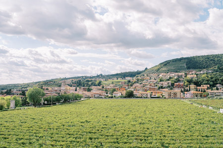 Green vineyards in front of an ancient town at the foot of the mountains. Verona, Italyの写真素材