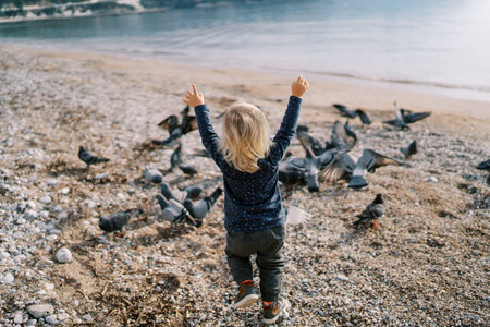 Little girl walks with raised hands along the seashore to the pigeons. Back viewの写真素材