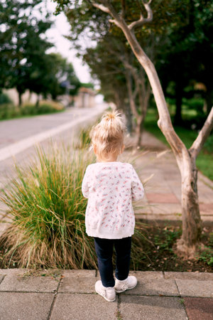 Little girl stands near a tall green grass bush in the park. Back viewの写真素材
