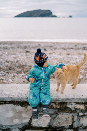 Little girl petting a ginger cat sitting on a curb by the seaの写真素材
