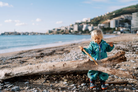 Little girl runs a stick along a snag lying on the seashoreの写真素材