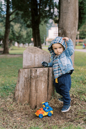Little boy with a toy car in his hand stands near a stump in the park, adjusting his hoodの写真素材