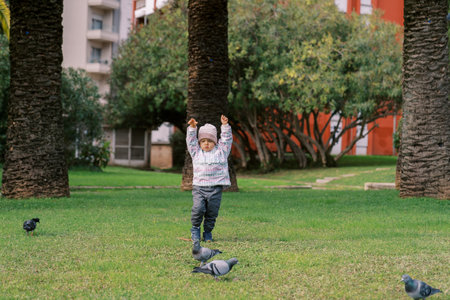 Little girl walks after the pigeons with her hands up on the green lawn in front of the houseの写真素材