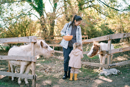 Little girl stands near her mother with a bowl of carrots between fences with looking poniesの写真素材