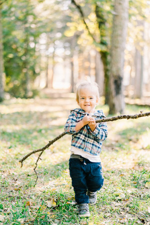 Little girl with a long stick walks through a sunny autumn forestの写真素材