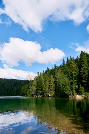 Coniferous forest on the shore of a lake against a cloudy sky