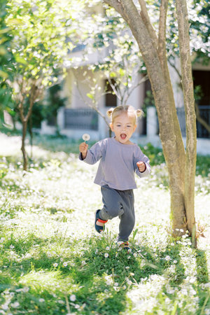 Little girl runs laughing with a dandelion in her hand through a sunny gardenの写真素材
