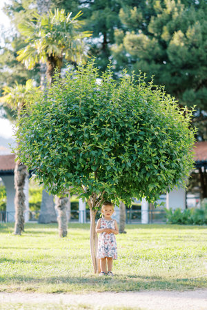 Little girl stands under a green tree with a round crown in the parkの写真素材