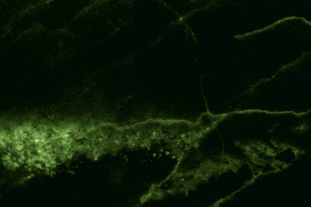 Marble green pattern texture background abstract designの写真素材