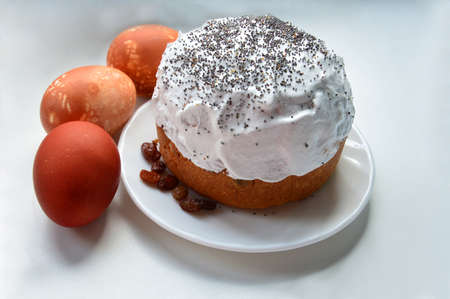 Easter cake and painted eggs on white background