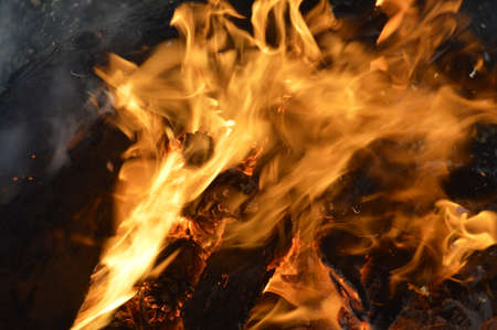 A fire with pine cones burning in the snow.