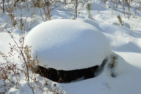 Stump in a snowy cap. Winter.