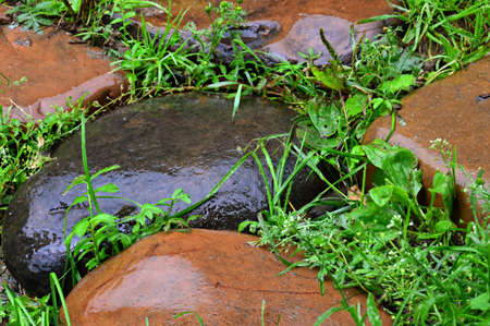 Wet river stones. After the rain.