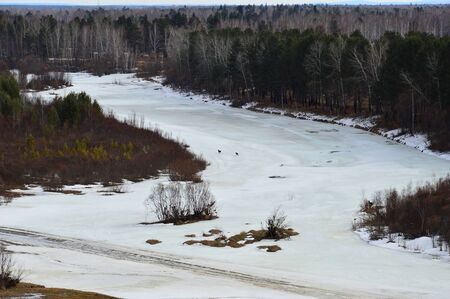 Spring landscape. The river is under ice still. Two dogs run along the ice.の写真素材