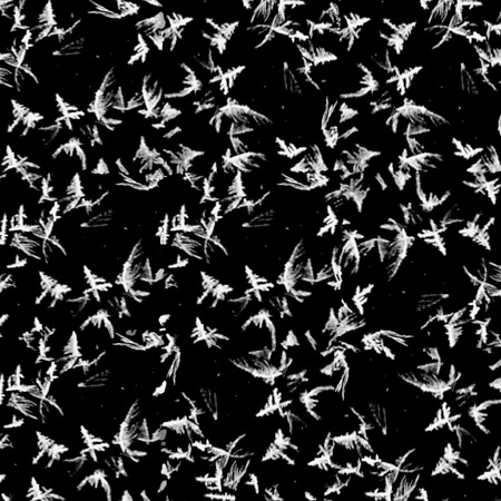 Abstract background. Frosty patterns on the glass. White figures on a black background. Seamless.の写真素材