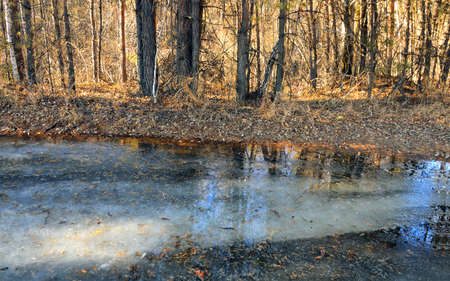 Spring forest landscape. Frozen puddle on the road. The sky and trees are reflected in a puddle. Quiet and cool in natureの写真素材